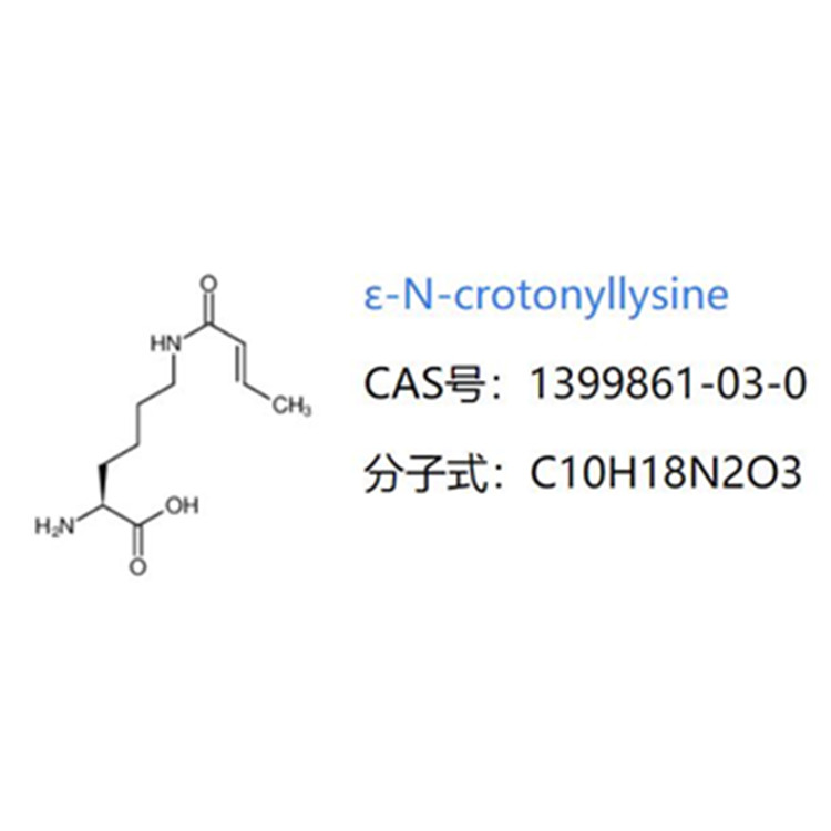 ε-N-Crotonyllysine
